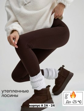 Леггинсы