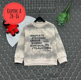 Толстовка