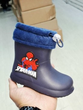 Сапоги