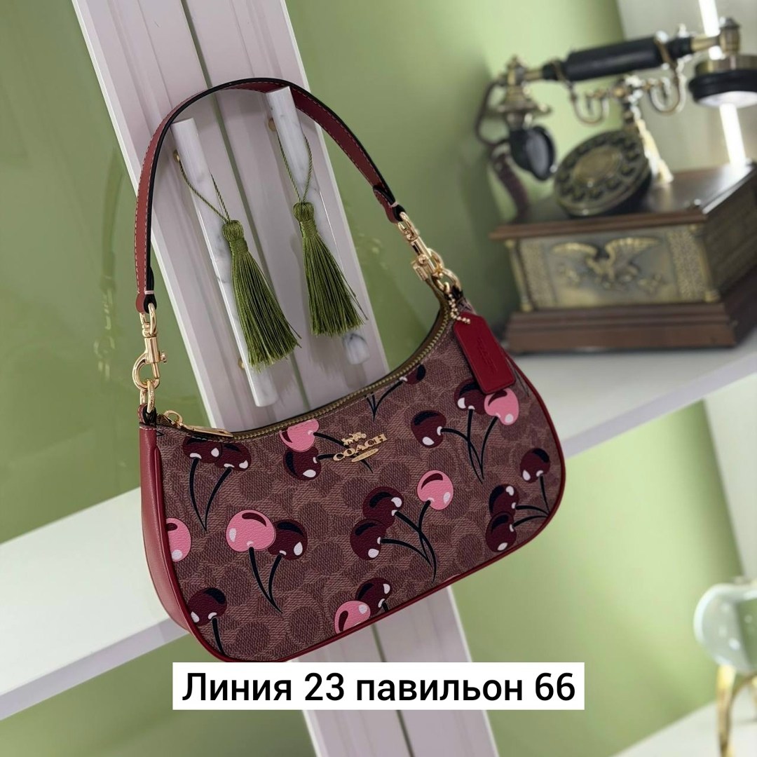 coach сумка женская,сумка,coach сумка,сумки женская,модная сумка