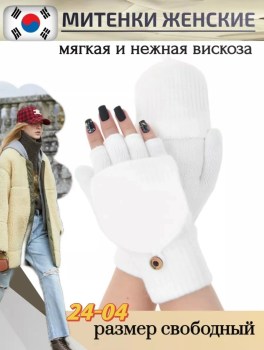 Одежда