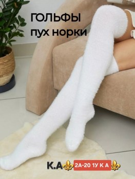 Одежда