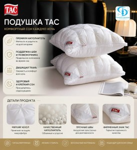 Одежда