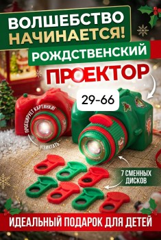 Одежда