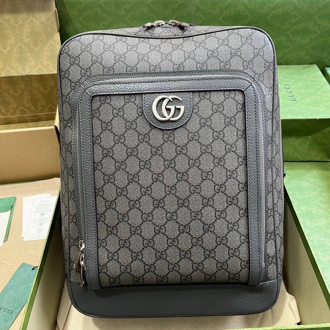 рюкзак gucci,мужской рюкзак gucci,рюкзак гуччи,чемодан луи витон оригинал,рюкзак гуччи мужской