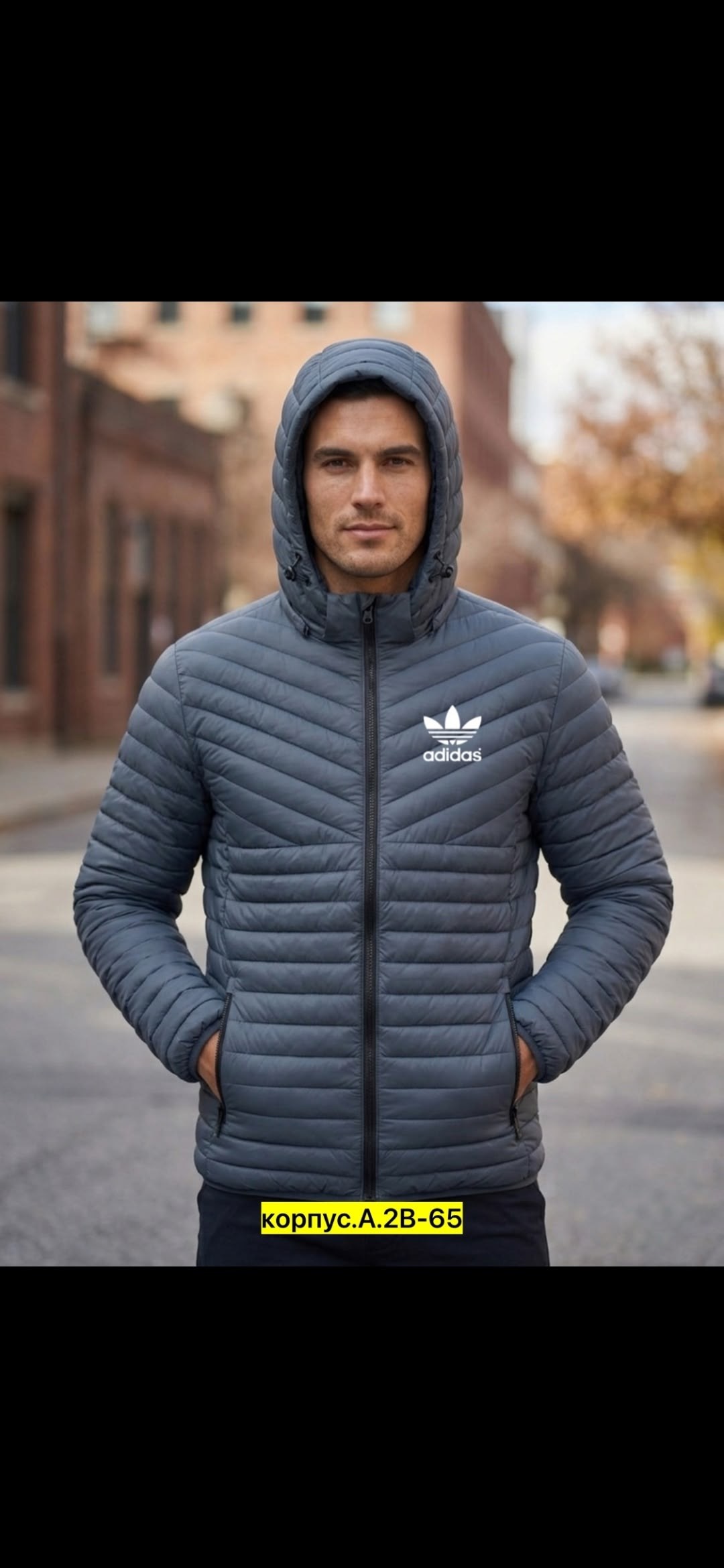 куртка мужская adidas,куртка мужская зимняя adidas,куртка демисезонная adidas,куртка мужская adidas оригинал,пуховик мужской adidas