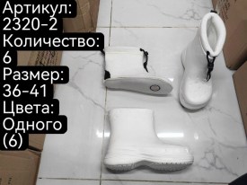 Сапоги