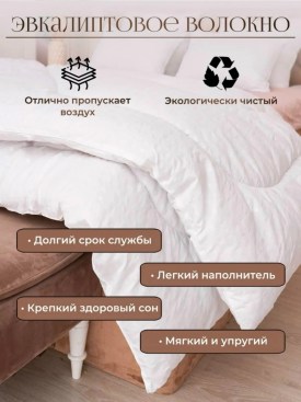 Одежда