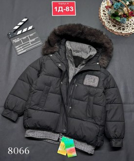 Верхняя одежда