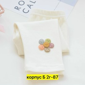 Леггинсы