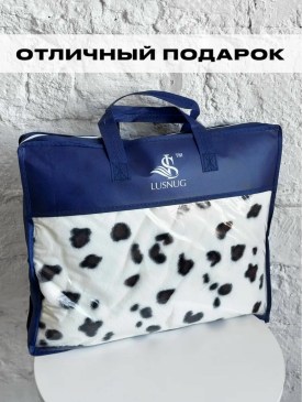Одежда