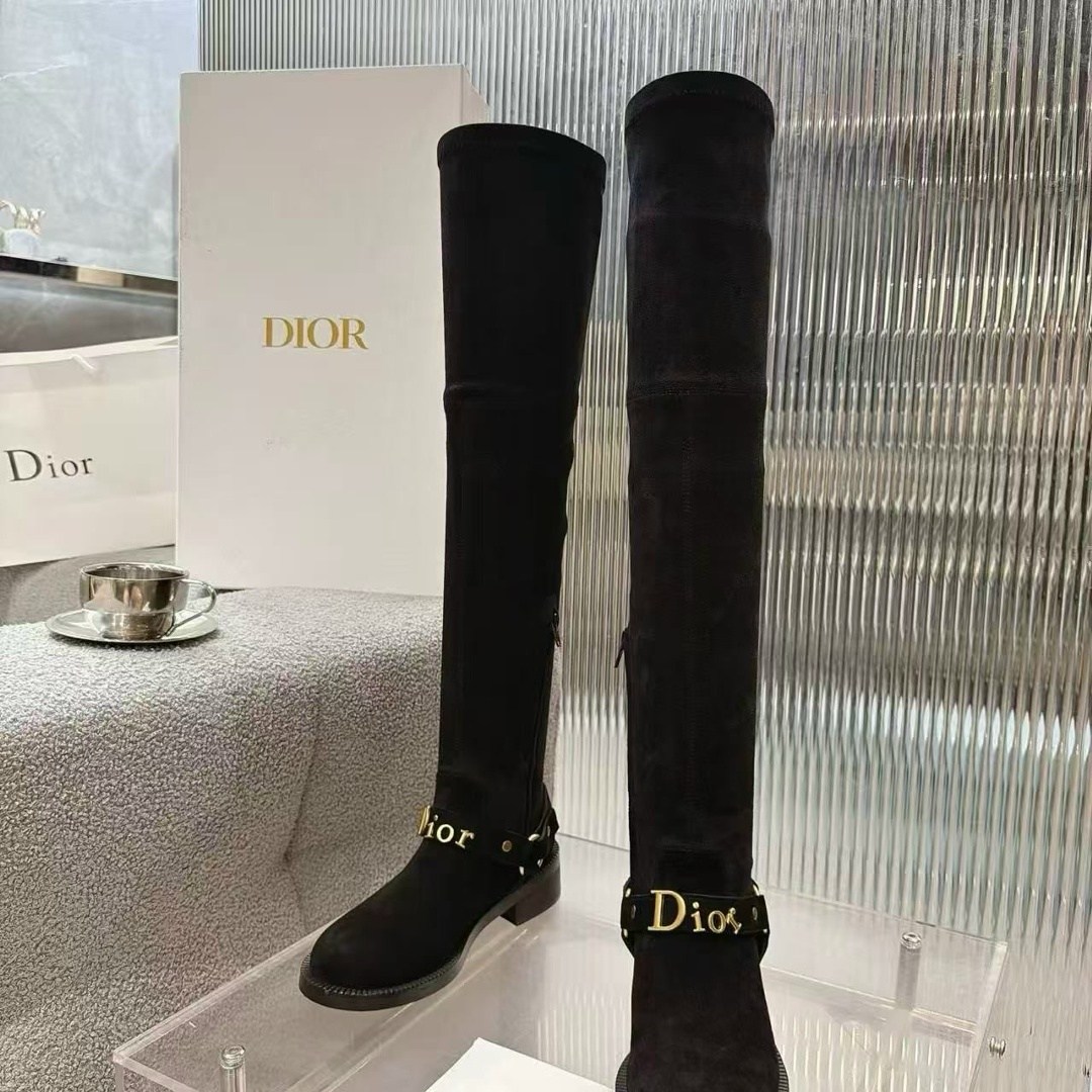 сапоги dior,ботфорты кристиан диор,сапоги christian dior,ботфорты женские,замшевые сапоги