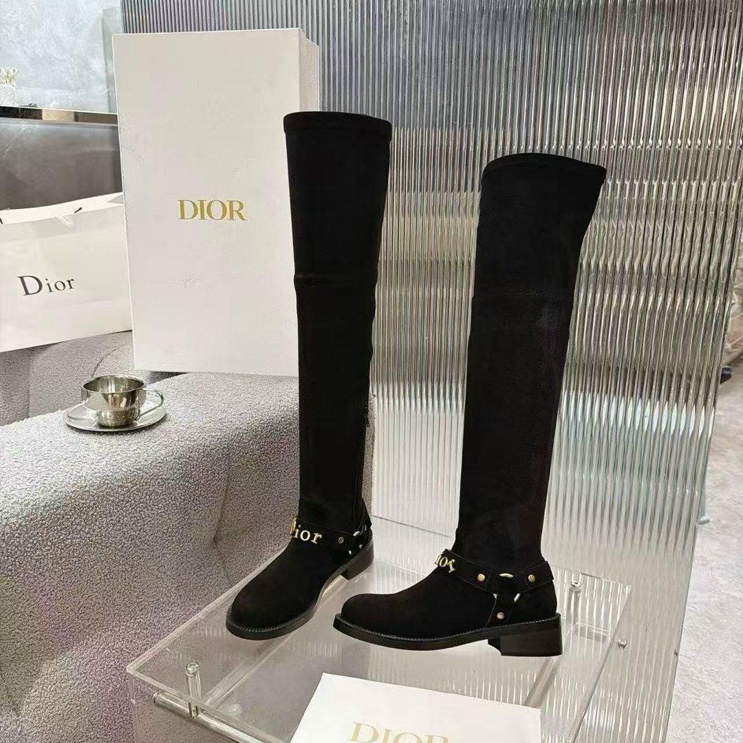 сапоги dior,ботфорты кристиан диор,сапоги christian dior,ботфорты женские,замшевые сапоги