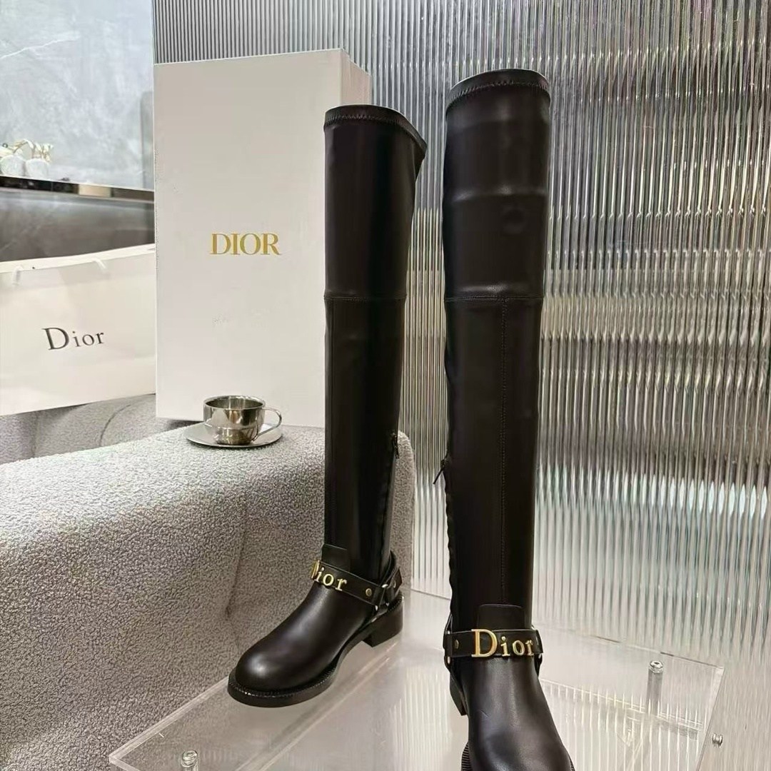 сапоги dior,ботфорты кристиан диор,сапоги christian dior,ботфорты женские,замшевые сапоги