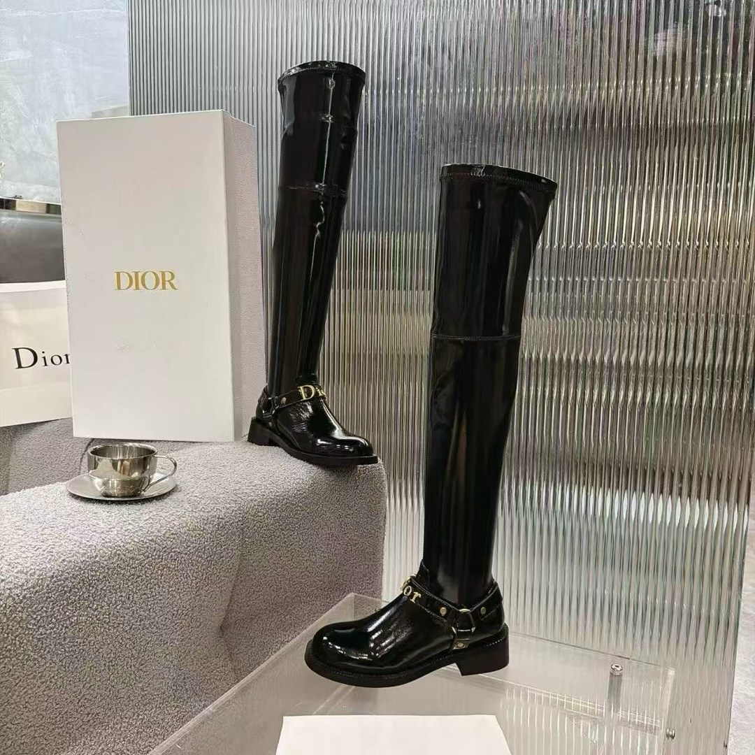 сапоги dior,ботфорты кристиан диор,сапоги christian dior,ботфорты женские,замшевые сапоги