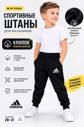 Штаны