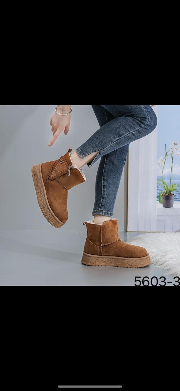 женские угги,,угги женские зимние,угги женские ugg,угги