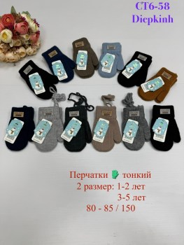 Одежда