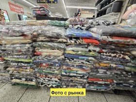 Одежда