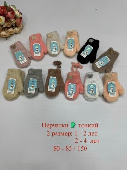 Одежда