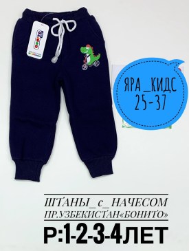 Штаны