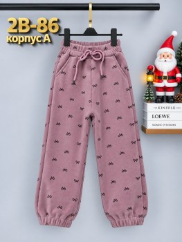 Штаны