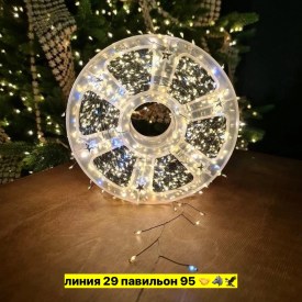 Одежда