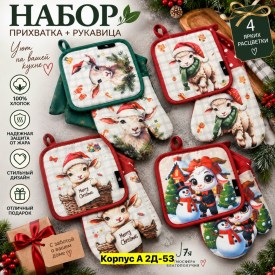 Одежда