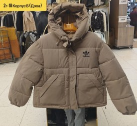 Верхняя одежда