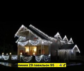 Одежда