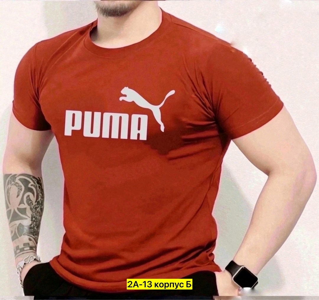 футболка мужская puma,мужской футболки,футболка puma,puma puma,футболки для мужчин