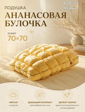 Одежда