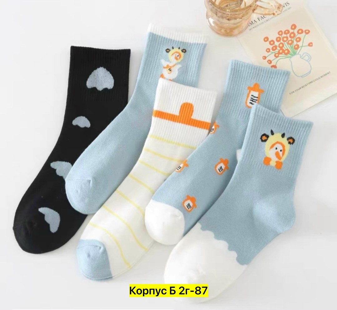 модные носки,хлопковые носки женские,хлопковые носки,носки для девушек,женские носки
