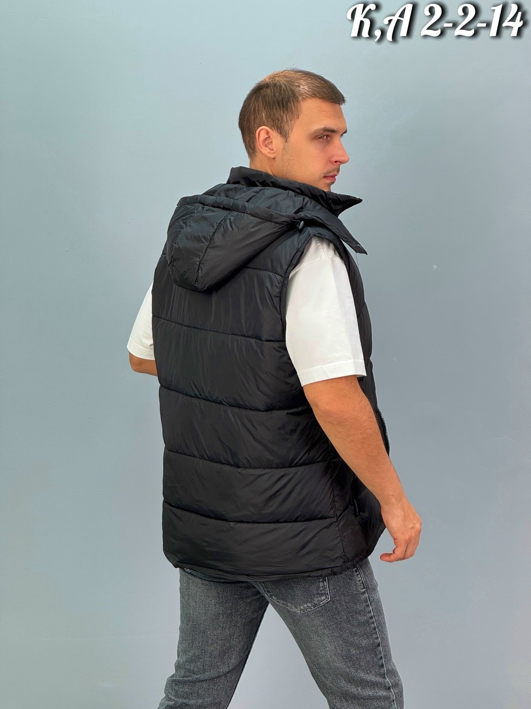 жилетка moncler,moncler жилет,жилетка монклер,жилет монклер мужской,мужские жилеты