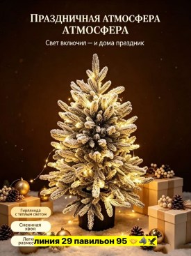 Одежда