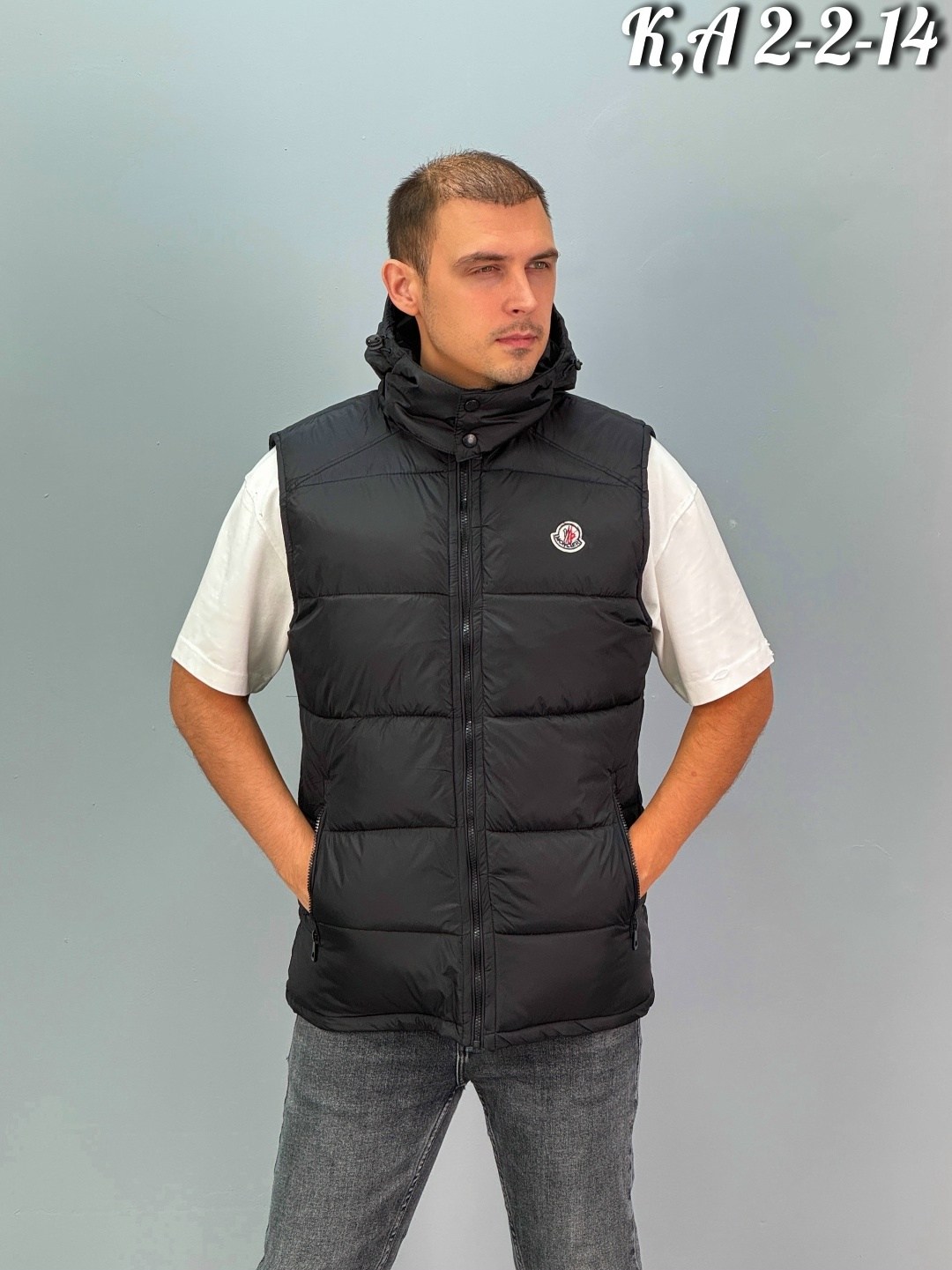 жилетка moncler,moncler жилет,жилетка монклер,жилет монклер мужской,мужские жилеты