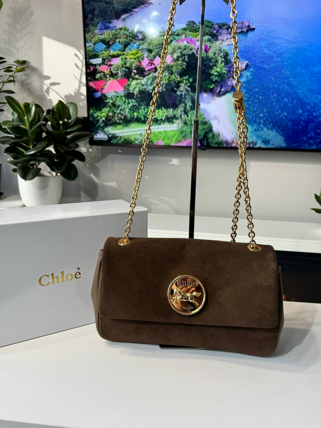 сумки,сумка chloe,замшевая сумка,сумки женская,сумка
