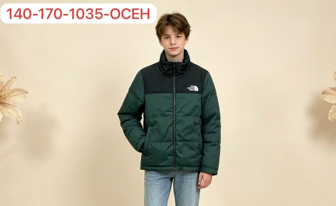 демисезонная куртка,двухсторонняя куртка tnf,куртка,куртка the north face,куртка для мальчика