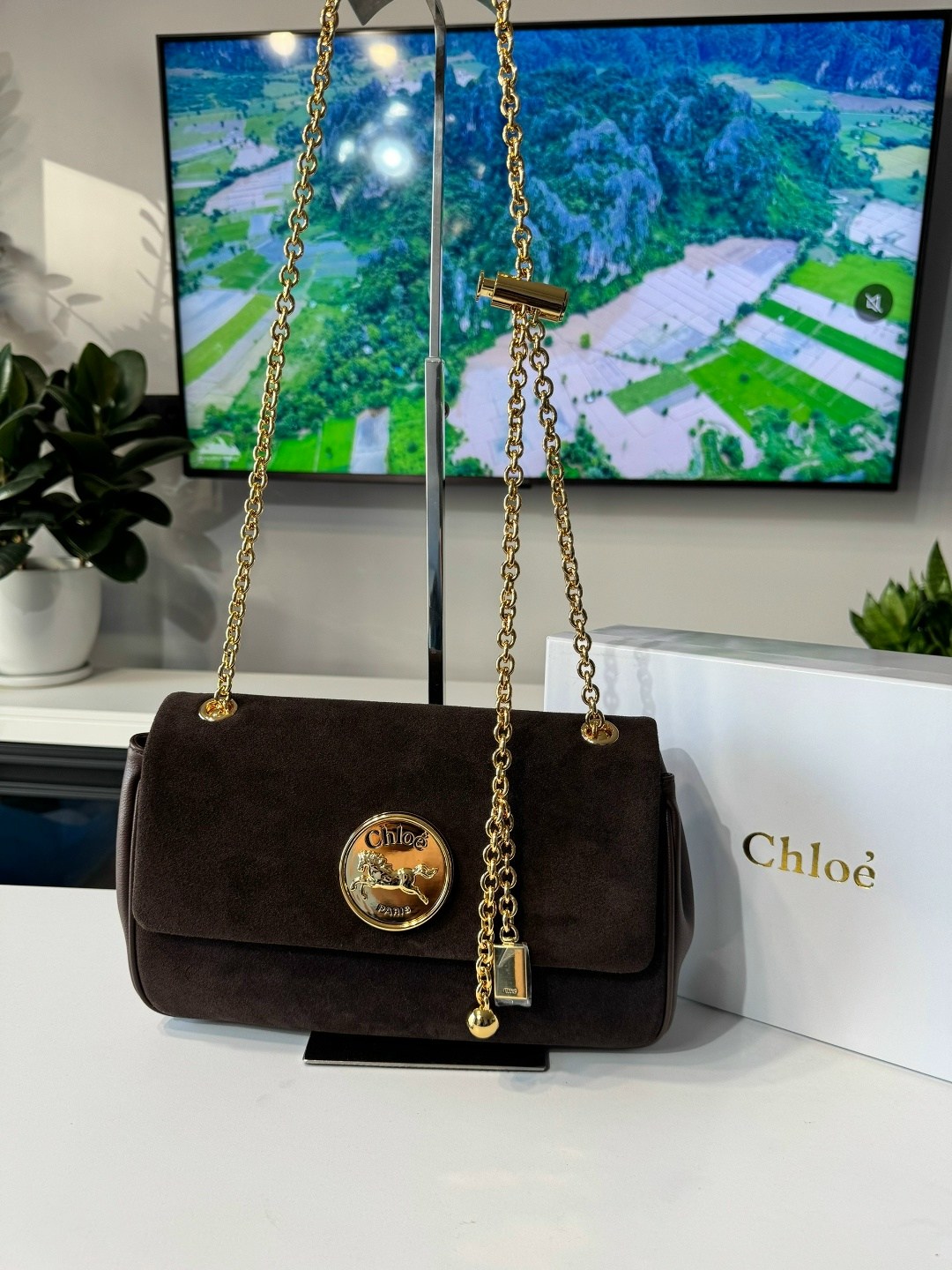 сумки,сумка chloe,замшевая сумка,сумки женская,сумка