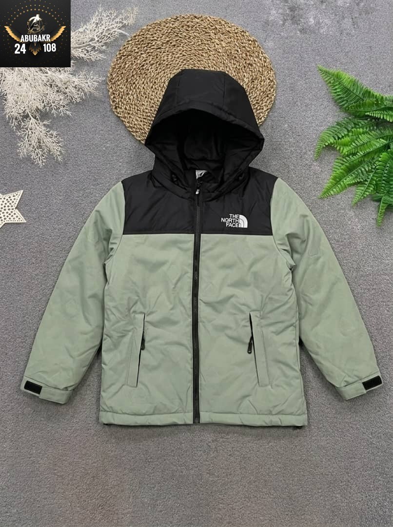 куртка демисезонная,зимняя куртка,зимняя куртка the north face,куртка,куртка the north face