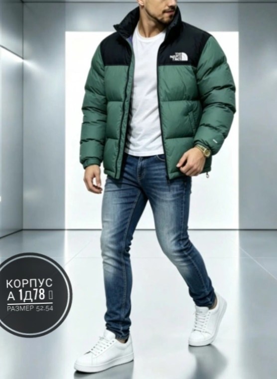 пуховик the north face 700,мужские пуховики the north face,the north face пуховик,куртка пуховик the north face,пуховик the north face 700 мужской фиолетовый
