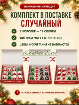 Одежда