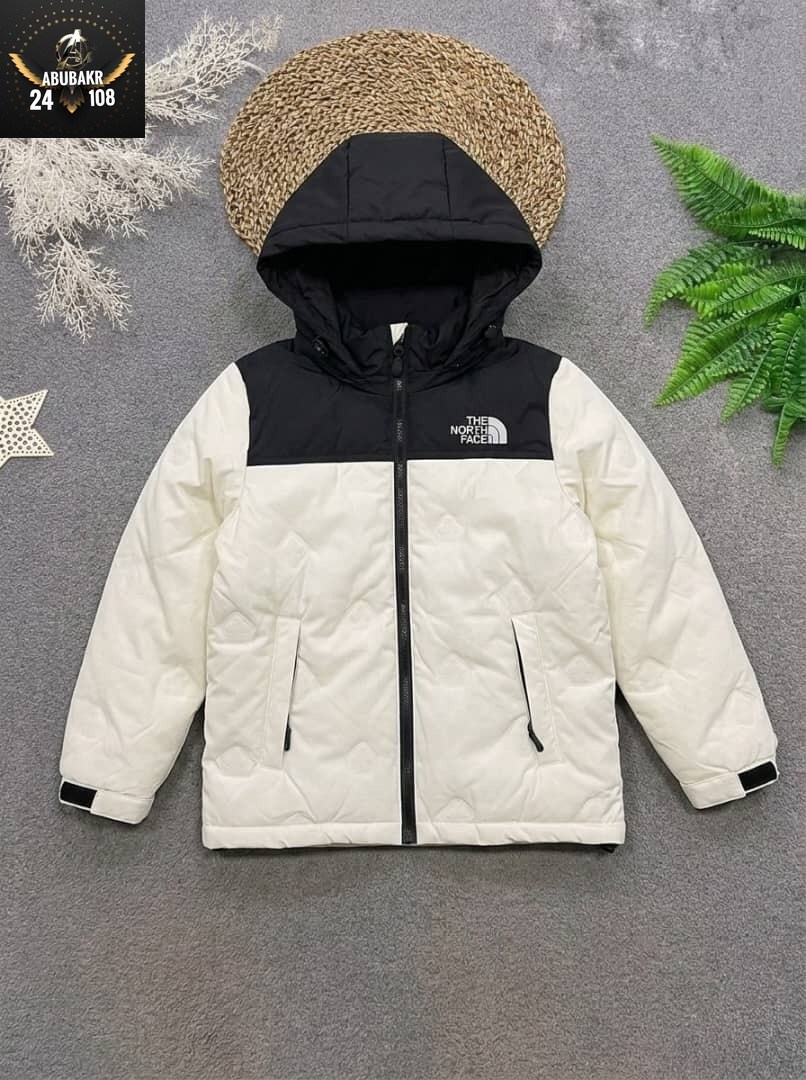 куртка демисезонная,зимняя куртка,зимняя куртка the north face,куртка,куртка the north face