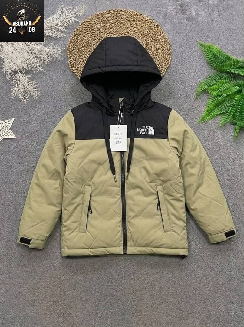 куртка демисезонная,зимняя куртка,зимняя куртка the north face,куртка,куртка the north face