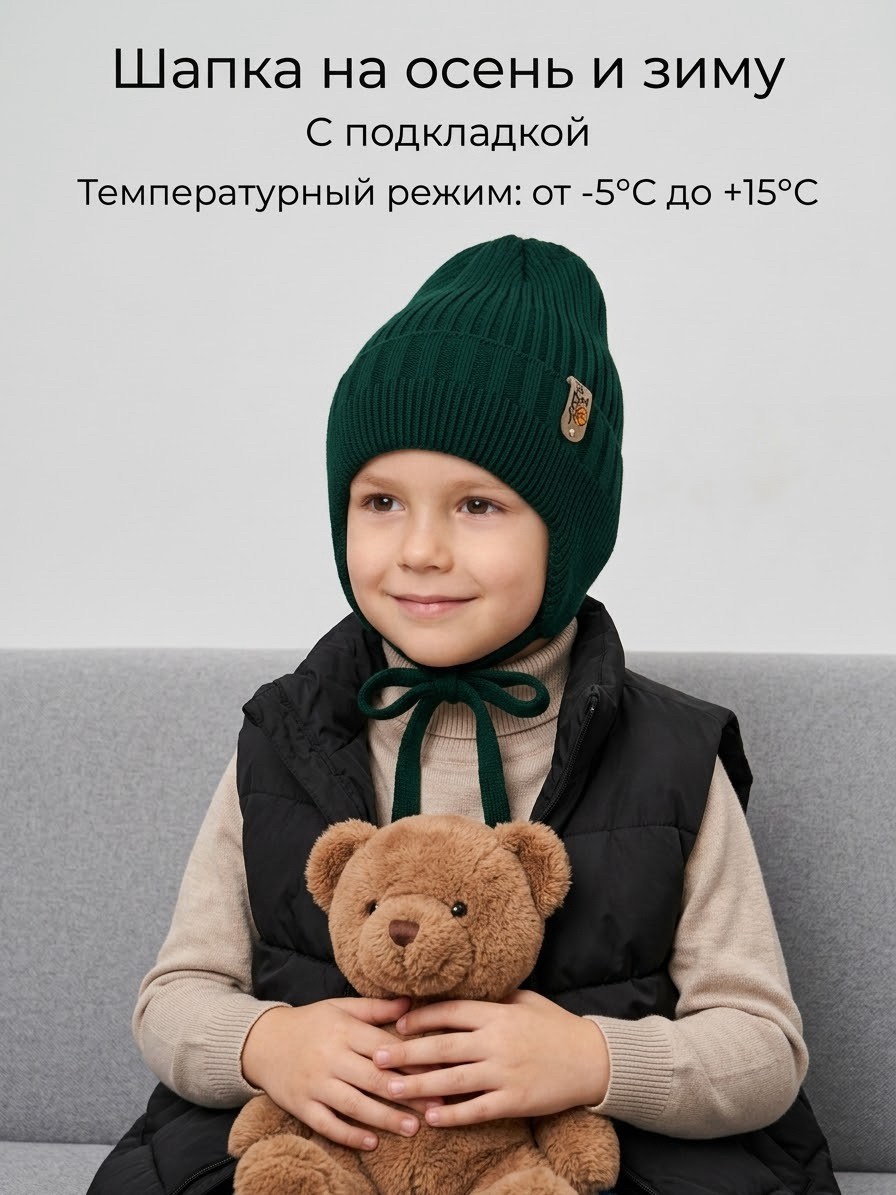 шапка для мальчика,шапка для мальчика зимняя,шапка для детей,шапка демисезонная,шапка с завязками для мальчика