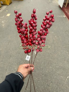 Одежда