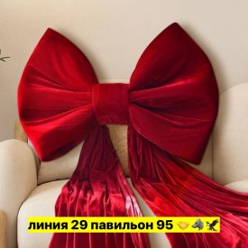 Одежда