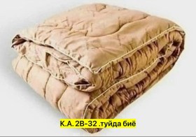 Одежда