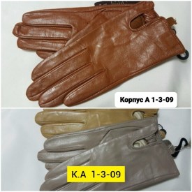 Одежда