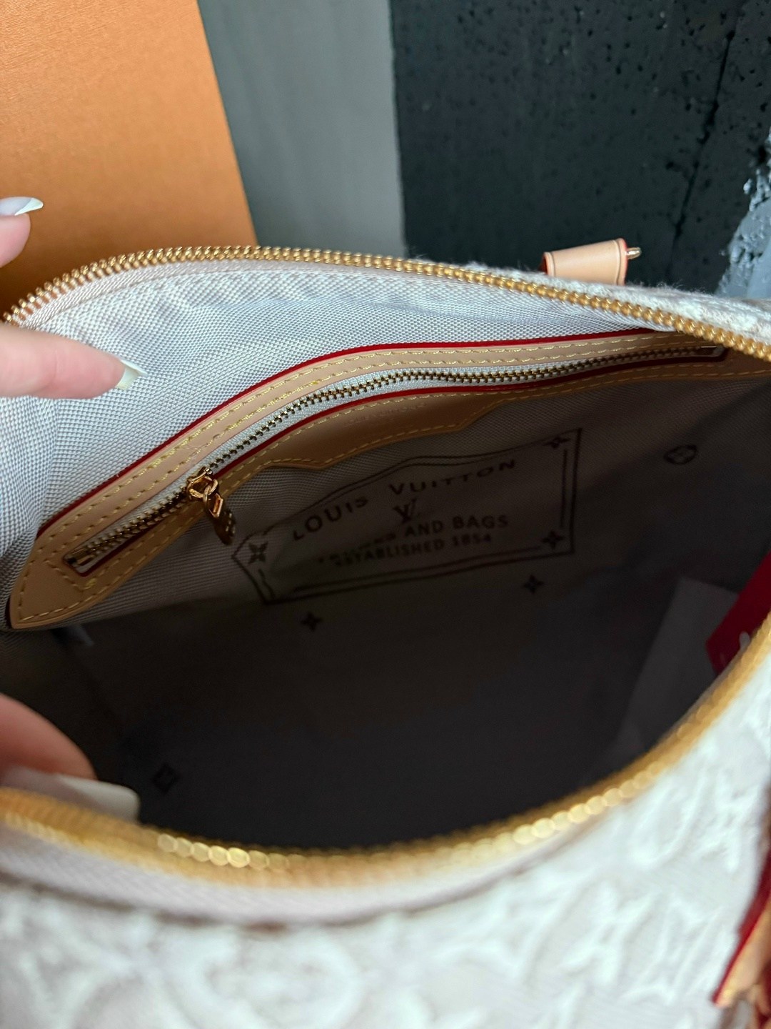 louis vuitton сумка,сумка женская louis vuitton,louis vuitton сумка на плечо,louis vuitton speedy,louis vuitton сумка для ручной клади